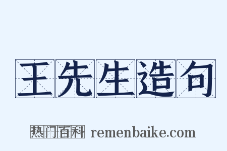 王先生造句是什么意思的图片